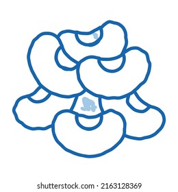 vector de icono de esbozo de granos de frijol. Signo de granos de frijol de la línea de doodle azul dibujado a mano. ilustración de símbolo aislado