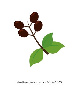 bean leaf coffee green natural organic cafe plant vector graphic isolated and flat illustration