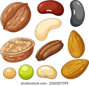 Bean nut pea collection illustration