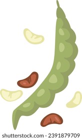 Bean Plant Fruit Vector Illustration