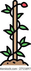 Planta de feijão crescendo uma estaca