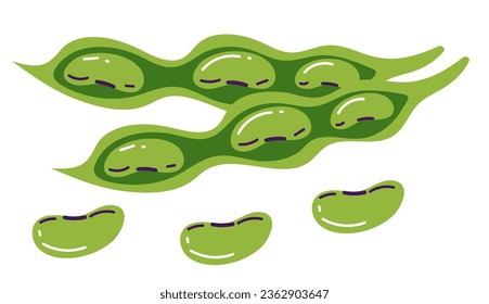 Bean plant soy pod green pea isolated set. Vector flat graphic design illustration