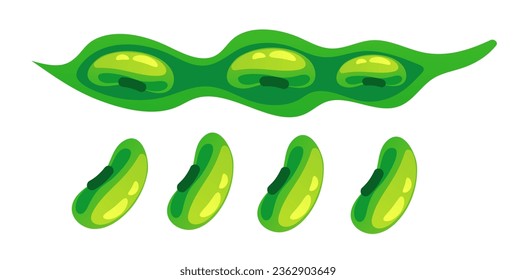 Bean plant soy pod green pea isolated set. Vector flat graphic design illustration