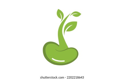 Bean seed leaf nature logo vector image