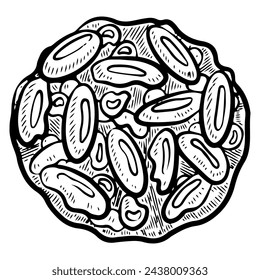 Bean sketch. Legume vegetable. Protein vegetarian food. Hand drawn vector illustration.