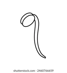 Bean sprout icon isolated on white background.