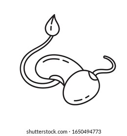 Bean sprout with leaf and soybean icon. Linear logo for seeding and sprouted seeds. Black illustration for raw food diet, fresh salad ingredients. Contour isolated vector image on white background