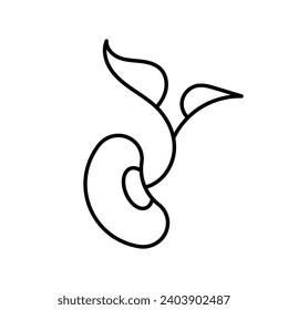 Bean sprout. Bean seed with sprouted green leaves. Horticulture and organic farming concept. Linear illustration, editable thin stroke.
