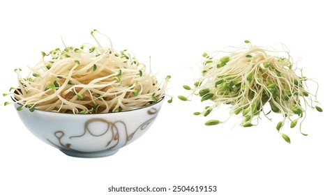 Bean sprouts close-up. Healthy food in a wooden bowl on white background.