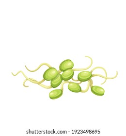 Bean sprouts, soybean sprouts vector illustration. Bean Sprouts or Pea Seedlings isolated on white.