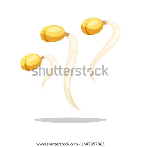 Bean sprouts vegetable, tauge. Vector image isolated on white background.