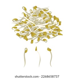 Bean sprouts vegetable vector isolated illustration. long mung bean sprouts isolated. soybean sprouts in flat simple cartoon style illustration art design - Shutterstock ID 2268658737