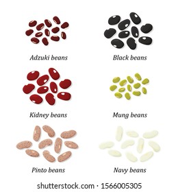 Bean types set. Adzuki, Black, Kidney, Mung, Pinto and Navy bean. Vector.