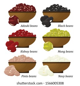 Bean types set. Adzuki, Black, Kidney, Mung, Pinto and Navy bean. Vector.