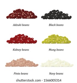 Bean types set. Adzuki, Black, Kidney, Mung, Pinto and Navy bean. Vector.