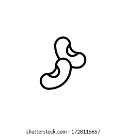 Bean vector icon in linear, outline icon isolated on white background
