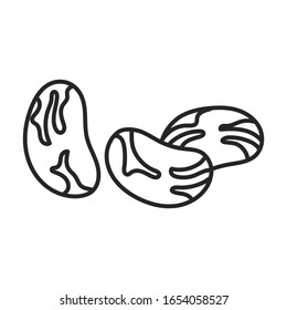 Bean vector icon.Outline vector icon isolated on white background bean.