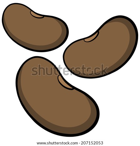 Beans Stock Vector (Royalty Free) 207152053 - Shutterstock