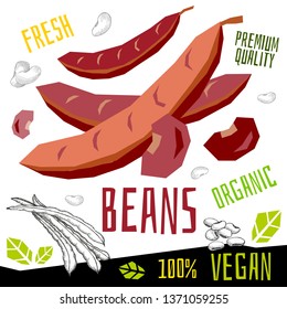 Beans bean icon label fresh organic vegetable, vegetables nuts herbs spice condiment color graphic design vegan food. Hand drawn vector illustrations.