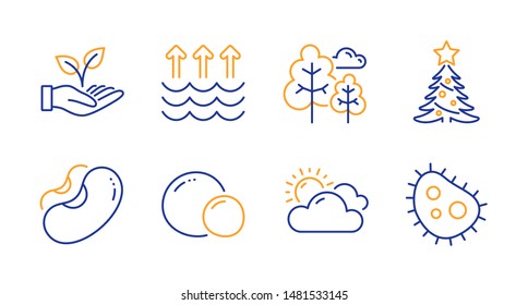 Beans, Helping hand and Tree line icons set. Sunny weather, Christmas tree and Peas signs. Evaporation, Bacteria symbols. Vegetarian seed, Startup palm. Nature set. Line beans icon. Vector