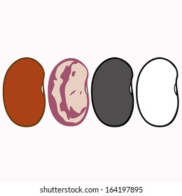 beans illustration vector