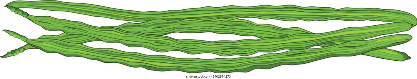 Beans isolated on white background