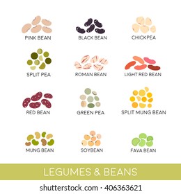 Beans and legumes Set. Vector illustration isolated on white