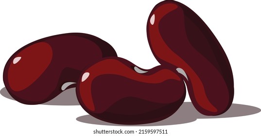 Beans Legumes - Ilustración vectorial aislada en fondo blanco