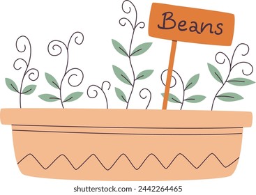 Beans Microgreen In Pot Vector Illustration
