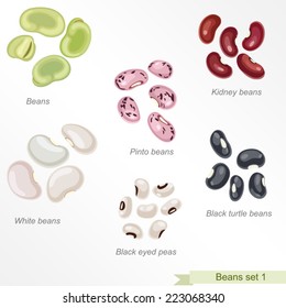 Beans and peas first icon set / Solid fill vector icons set with names