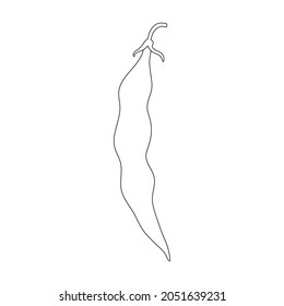 Beans pod vector outline icon. Vector illustration bean on white background. Isolated outline illustration icon of beans pod.