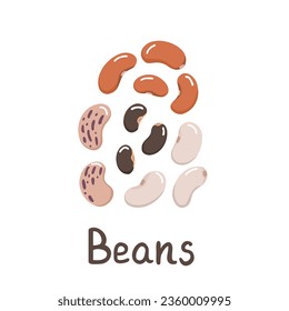 beans, red, white, black beans, harvest. Vector Illustration for printing, backgrounds and packaging. Image can be used for greeting cards, posters, stickers and textile. Isolated on white background.