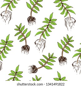Beans seamless pattern in hand drawn style. Vector illustration