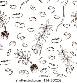 Beans seamless pattern in hand drawn style. Vector illustration