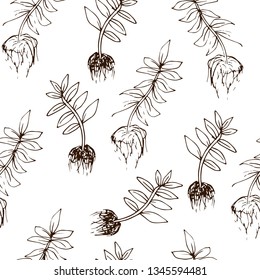 Beans seamless pattern in hand drawn style. Vector illustration