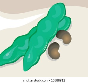  beans and seed on floor	