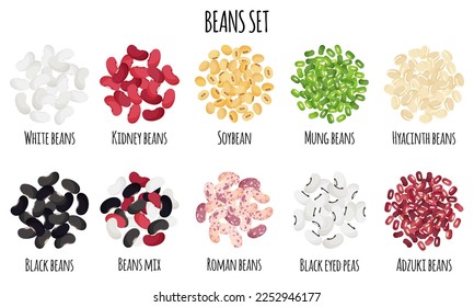 Beans set with Black, White, Roman, Kidney, Mung, Adzuki, Hyacinth and Soybean. Natural organic food collection. Vector cartoon isolated illustration.