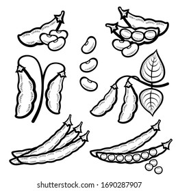 Beans set. Collection icon beans. Vector