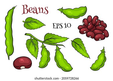 Beans set. Fresh green beans and red beans. In a cartoon style. Vector illustration for design and decoration.