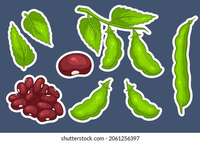 Se ponen judías. Granos verdes frescos y frijoles rojos. En stickers de dibujos animados. Ilustración vectorial para diseño y decoración.