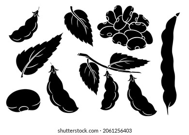 Beans set. Fresh green beans and red beans. Silhouette. Vector illustration for design and decoration.