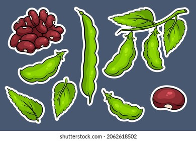 Beans set. Fresh green beans and red beans. In cartoon style stickers. Vector illustration for design and decoration.