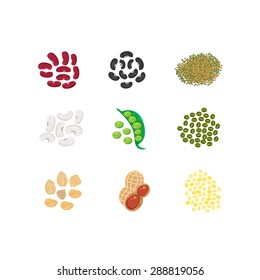 Beans set illustration, vector