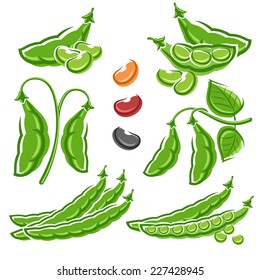 Beans set. Vector