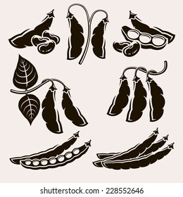 Beans set. Vector