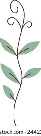 Beans Sprout Microgreen Vector Illustration