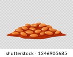 Beans in tomato sauce, isolated vector.