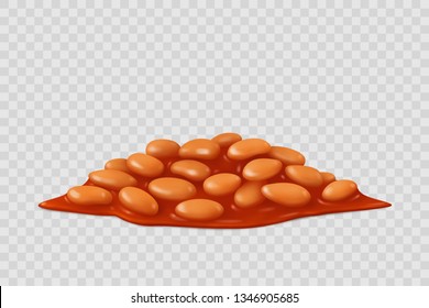 Beans in tomato sauce, isolated vector.