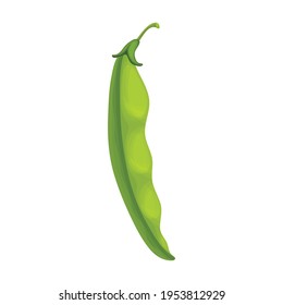 Beans vector cartoon icon. Vector illustration bean on white background. Isolated cartoon illustration icon of beans .