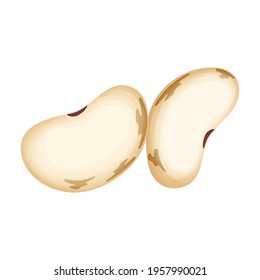 Beans vector cartoon icon. Vector illustration bean on white background. Isolated cartoon illustration icon of beans .